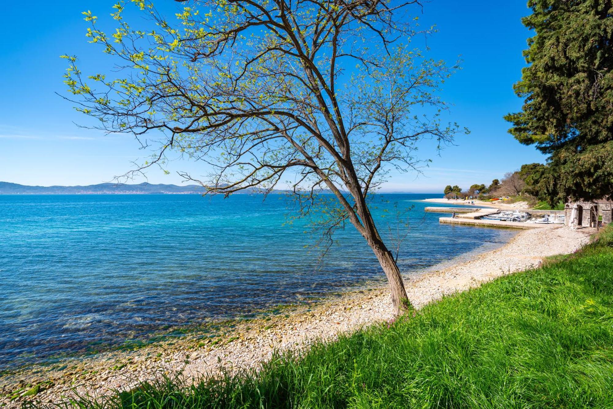 Kolovare Garden Oasis - First Row By Sea Apartment Задар Екстериор снимка